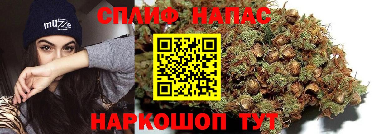 Конопля план  Канабис сатива  Новоалександровск  Вход с VPN 