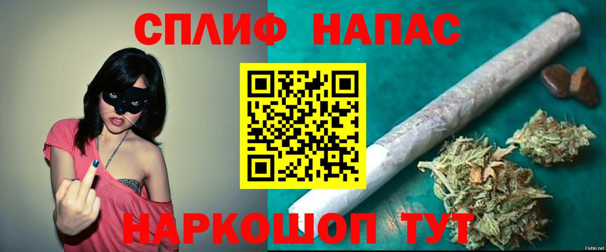 Канабис планчик Новоалександровск